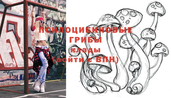не бодяженный Шали
