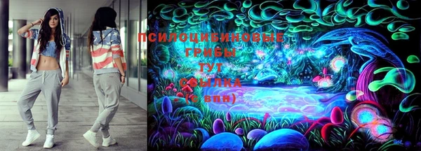 спиды Щигры