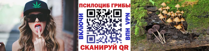 Галлюциногенные грибы мухоморы Купить закладки Нолинск